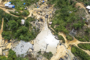 Tambang minyak ilegal ancam Hutan Harapan