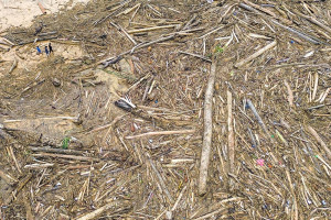 Sampah Kayu Gelondongan Pascabanjir Bandang