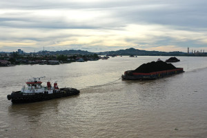 Harga batu bara acuan periode pertama Desember 2025