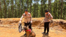 Kisah Reno, Anjing K9 Polda Riau Gugur Saat Bertugas Cari Korban Banjir Sumatra