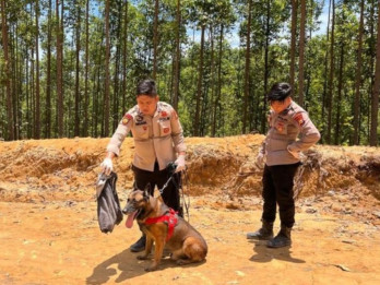 Kisah Reno, Anjing K9 Polda Riau Gugur Saat Bertugas Cari Korban Banjir Sumatra