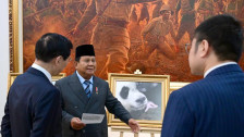 Prabowo Beri Nama Bayi Panda yang Lahir di Taman Safari Satrio 'Rio' Wiratama