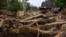 Kemenhut Sebut Temuan Kayu di Pesisir Lampung Tidak Terkait Banjir Sumatra