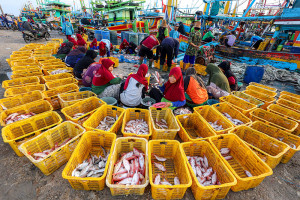 Perlindungan Jaminan Sosial Bagi Nelayan di Pantura Tuban