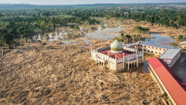 Jejak Deforestasi dalam 4 Dekade, Bibit Kerusakan Ekologis di Balik Geliat Ekonomi RI