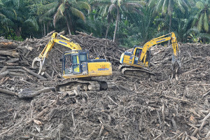 Desa Aek Garoga dipenuhi kayu pascabanjir bandang