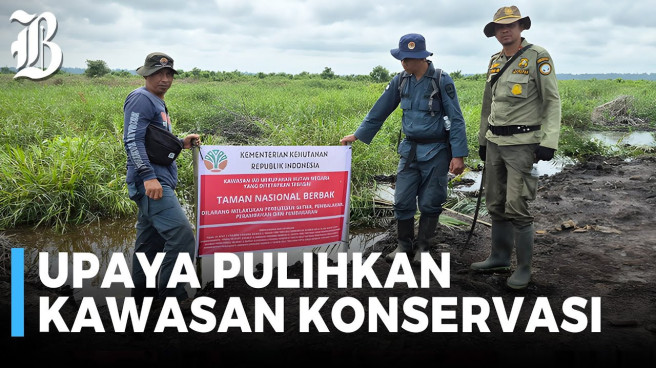 Kemenhut Musnahkan 98,8 Hektare Sawit Ilegal di TN Berbak Sembilang