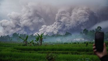 Gunung Semeru Erupsi Lagi (21/12), Tinggi Letusan 1,2 Km