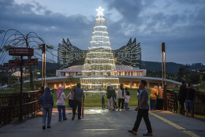 Pohon Natal Hiasi Kawasan IKN Tarik Minat Pengunjung