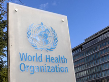 WHO Catat Lebih dari 500.000 Kasus Chikungunya Secara Global Sepanjang 2025