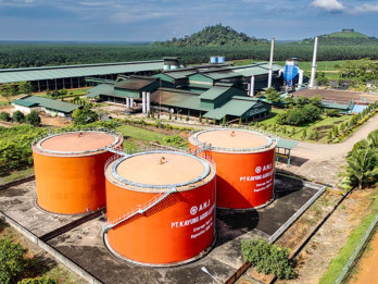 Emiten CPO Austindo Nusantara (ANJT) Tutup Usaha Edamame dan Sagu
