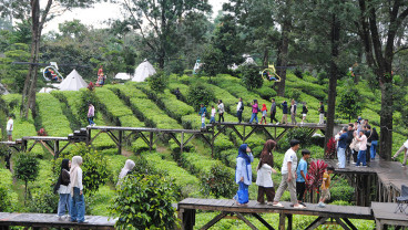 Kunjungan Wisatawan di Agrowisata Gunung Mas Puncak Bogor