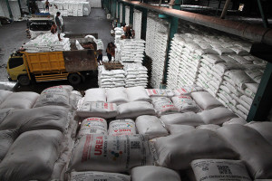 Alokasi Pupuk Bersubsidi Selama 2025 di Sumut