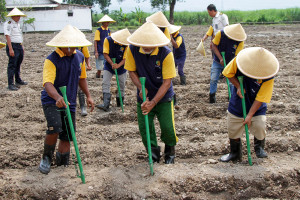Lapas Kelas I Surabaya Tanam Jagung Manis di Lahan SAE Porong untuk Dukung Ketahanan Pangan