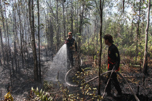 Kebakaran Lahan Gambut di Palangka Raya