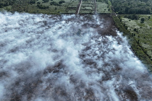 Kebakaran Hutan dan Lahan Gambut Terjadi di Suak Raya, Aceh Barat
