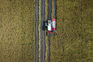 Bulog Siap Serap Empat Juta Ton Gabah Petani pada 2026