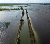 Banjir di Kudus Rendam 1.970 Hektare Sawah