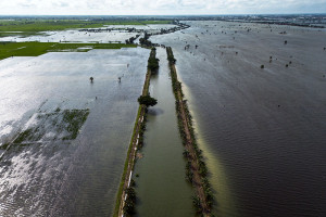 Banjir di Kudus Rendam 1.970 Hektare Sawah