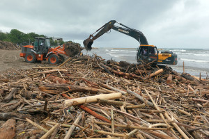 DLHK Badung Angkut 80 Ton Sampah Kayu dari Pantai Kuta Bali