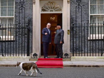 Meoww! Prabowo Disambut Larry the Cat saat Tiba di Downing Street