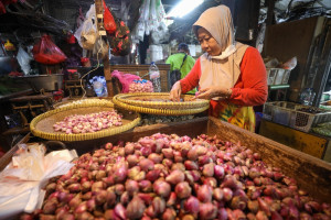 Harga Bawang Merah Turun 5,76%, Rata-Rata Nasional Rp44.200 per Kg