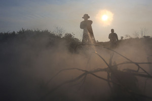 Karhutla Aceh Barat Meluas hingga 17 Hektare, BPBD Lakukan Penyekatan di Lahan Gambut