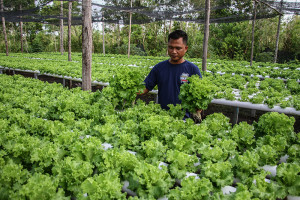 Target Penyaluran Kredit Program 2026