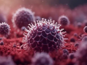 Perbedaan Virus Nipah vs Covid-19, Sama Menular Tapi Ancaman dan Polanya Berbeda