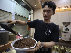 Studi Sebut Minuman Berkafein dapat Membantu Melindungi Otak