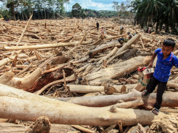 Mengintip Dampak Pencabutan Izin Usaha ke Kinerja Keuangan Toba Pulp (INRU)