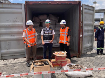 Bea Cukai Tanjung Priok Gagalkan Penyelundupan 3 Ton Sisik Trenggiling ke Kamboja