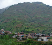 DLH Wonosobo Soroti Alih Fungsi Hutan di Dieng Picu Risiko Longsor