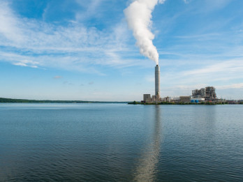 JPMorgan Peringatan Risiko Bank Enggan Danai Proyek Kredit Karbon
