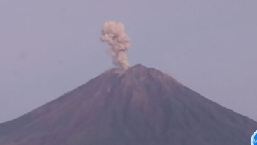 Semeru Erupsi 9 Kali Pagi Ini, Tinggi Letusan hingga 1.000 Meter