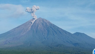 Gunung Semeru Meletus 7 Kali Beruntun, Tinggi Kolom Abu Capai 1,1 Km