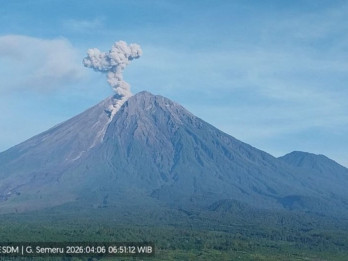 Gunung Semeru Meletus 7 Kali Beruntun, Tinggi Kolom Abu Capai 1,1 Km