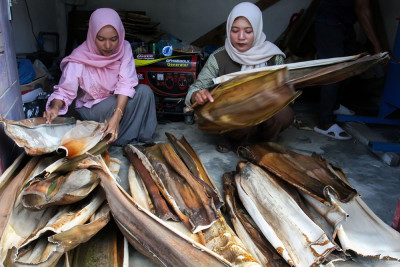 Limbah Pelepah Pinang di Aceh Utara Disulap Jadi Piring Bernilai Ekonomi