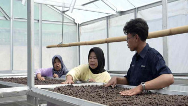 Kopi Tebat Benawa: Upaya Menjaga Produksi Kopi Berkualitas dan Berkelanjutan