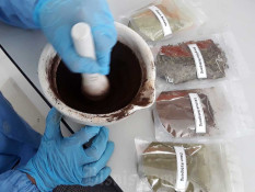 Tren Gaya Hidup Sehat Dorong Pertumbuhan Industri Herbal