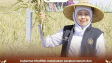 Produksi Padi Surplus, Gubernur Khofifah: Siap Bidik Pasar Beras Global