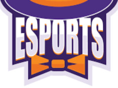 Daftar Lengkap Roster Timnas Esports Indonesia di Asian Games 2026