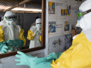 WHO Tegaskan Risiko Global Hantavirus Masih Rendah