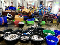 Bontang Bidik Industri Pengalengan Ikan Jadi Andalan Ekonomi Maritim