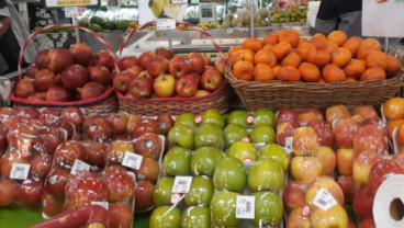 Bangun Cold Storage, Segar Kumala (BUAH) Ekspansi Pasar Sumatra