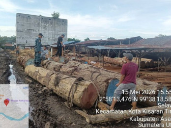 Ribuan Kayu Gelondongan Ilegal Ditemukan di Asahan, 5 Sawmill Diperiksa