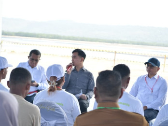 Gibran Dorong Penguatan Industri Garam dan Rumput Laut di NTT