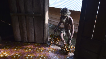 Adaptasi Orang Rimba di Tengah Perubahan Lingkungan