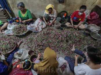 Jelang Iduladha, Harga Bawang dan Cabai Kompak Naik, Beras dan Minyak Mulai Melandai