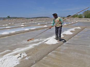 Cuaca Hujan Hambat Produksi Garam Rakyat Cirebon hingga Mei 2026